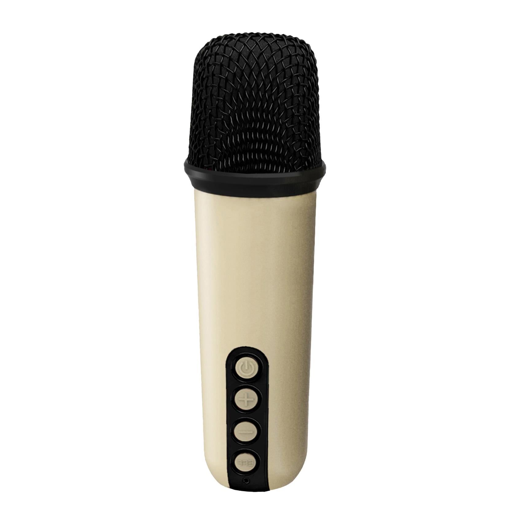 Altoparlante Bluetooth 1.0 + Microfoni Karaoke 6Watt