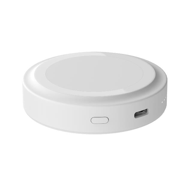 Caricabatterie Portatile Magnetico 3000mAh Usb-C SmartPhone
