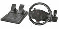Volante Usb 2.0 per Pc/Ps3 TrustRacing Wheel