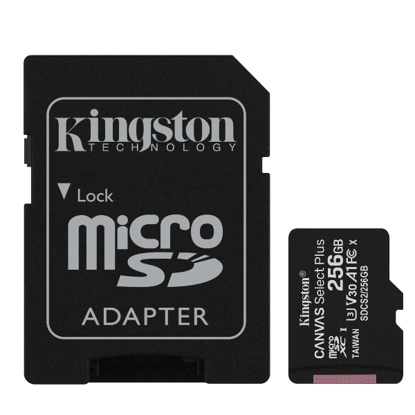 Micro SD + Adat.SD 256GB C10 Compenso Siae Assolto