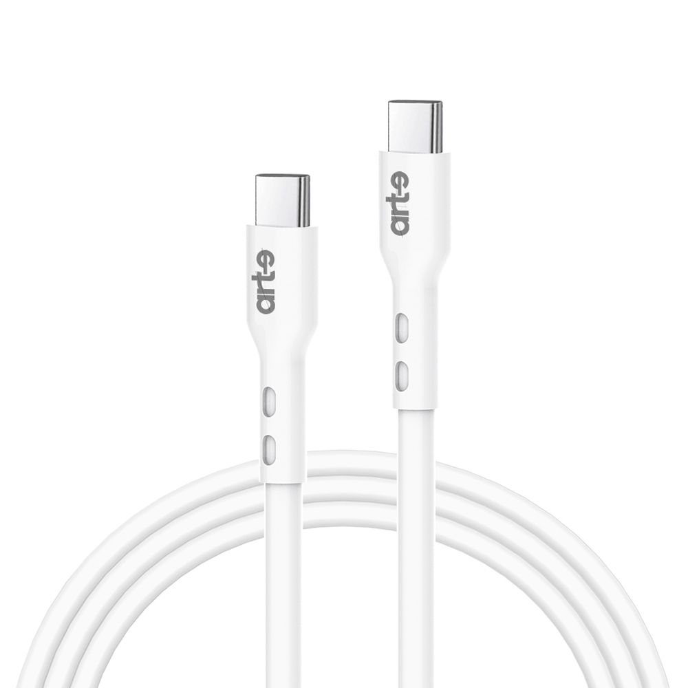 Cavo Dati Type-C a Type-C 100W 2m