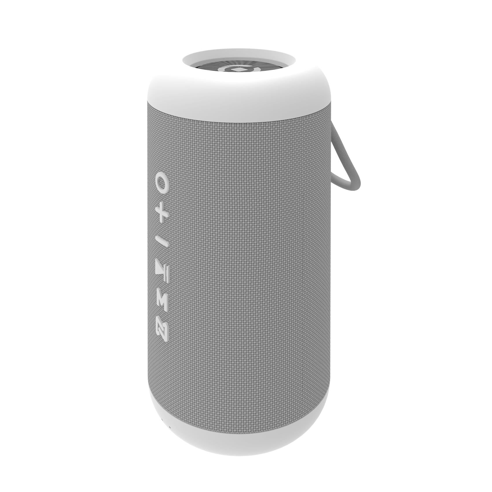 Altoparlante Bluetooth 1.0 10Watt
