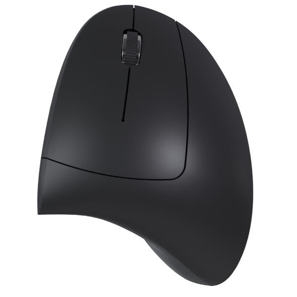 Mouse Large Wireless Ottico USB 2.0