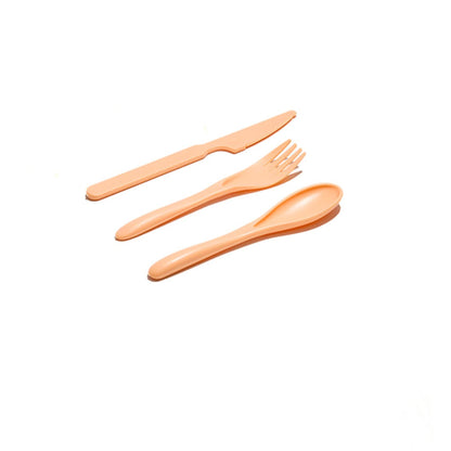 Set Posate con custodia