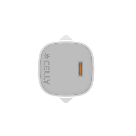Caricatore Rete Usb-C 25W + Cavo Usb-C/Usb-C