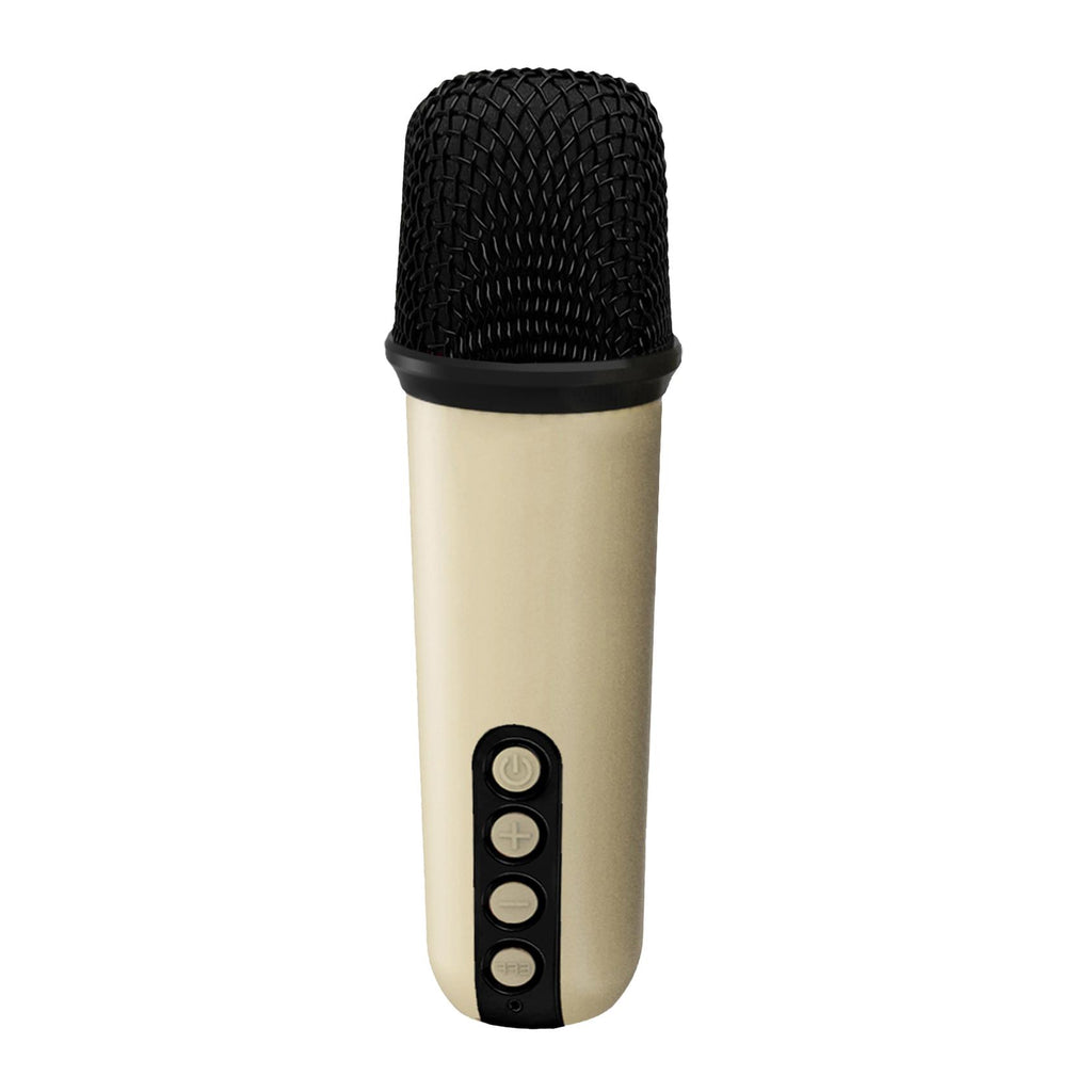 Altoparlante Bluetooth 1.0 + Microfoni Karaoke 6Watt