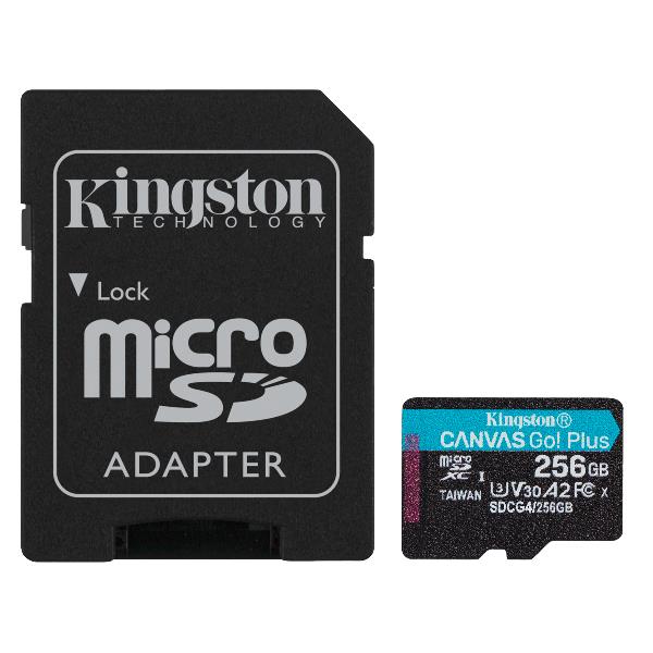 Micro SD + Adat.SD 256GB C10 V30 Compenso Siae Assolto