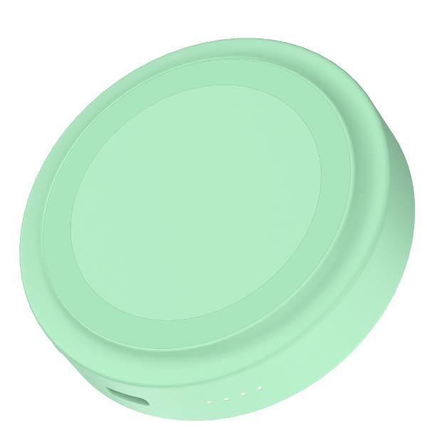 Caricabatterie Portatile Magnetico 3000mAh Usb-C SmartPhone