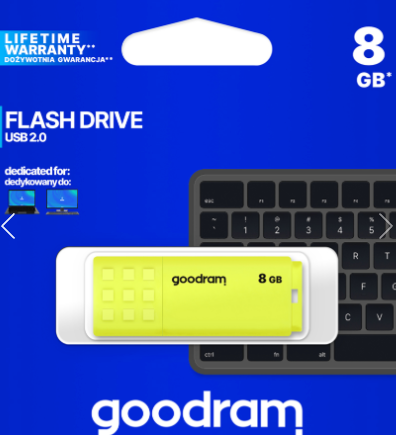 Pen Drive Usb 2.0 8GB Compenso Siae Assolto
