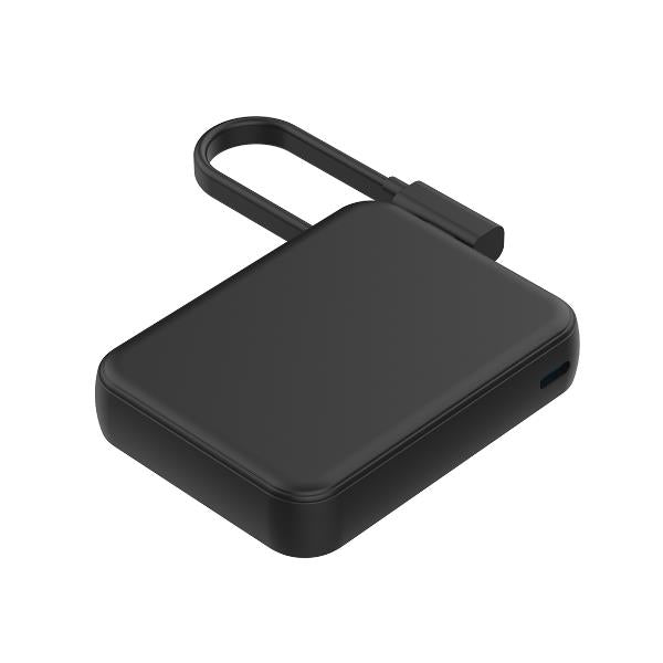 Caricabatterie Portatile 5000mAh Cavo interno Usb-C SmartPhone