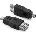 Adattatore USB a F/mini-B